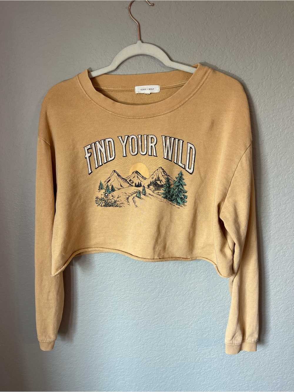 Cleo + Wolf Find Your Wild Graphic Cropped Sweatshirt XS Western Boho